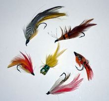 6-fishing-flies-by-DaleEu.jpg