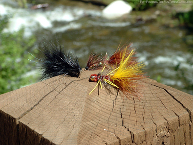flies-wooly-bugger-patterns.jpg