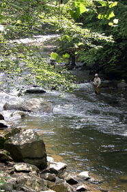 fly-fishing-gatlinburg-tn-by-lynnette.JPG