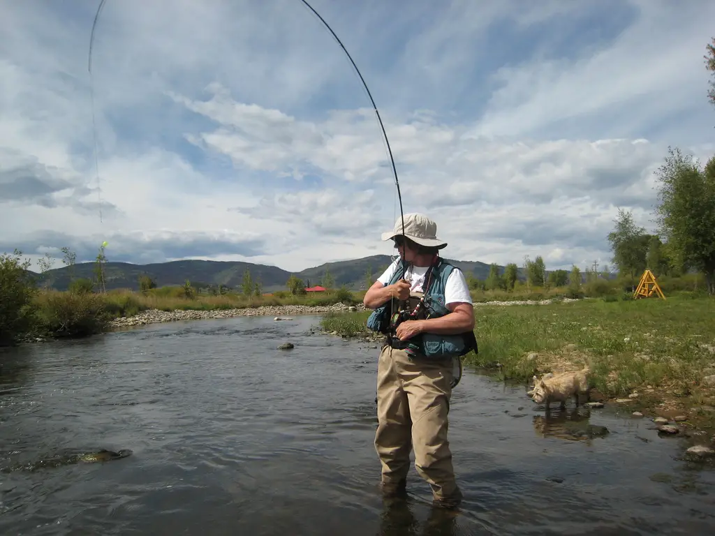 Trout Stream Fishing Tips How To Fly Fish In Small Creeks & Streams