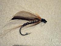 Quill Bodied Wet Fly