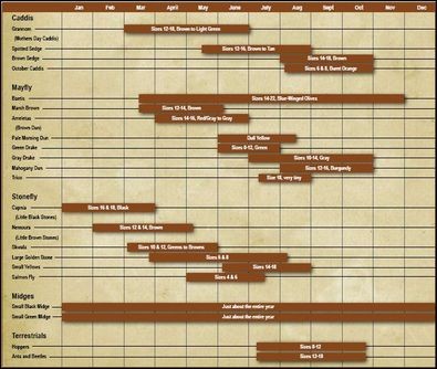 Southwestern-Montana-Hatch-Chart.JPG