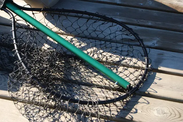 Fly Fishing Nets - What To Look For