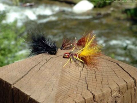 Trying To Match The Hatch? You Might Want To Try Something 180-Degrees Different Instead