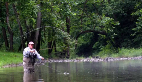 Fly Rod Casting Techniques: Forward Cast & Back Cast Basics