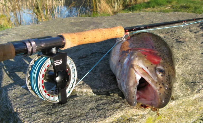 fly-fishing-basics