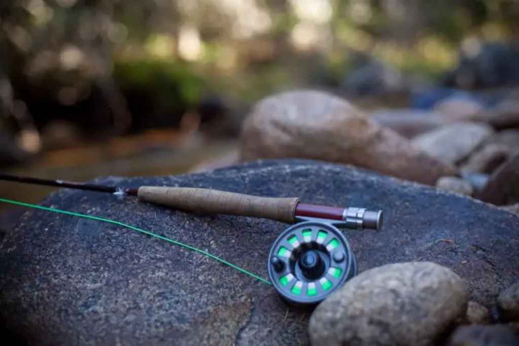 Fly Fishing for Tarpon: A 101 Guide 
