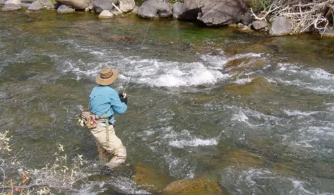The Best Trout Fishing Hotspots For Fly Fishermen