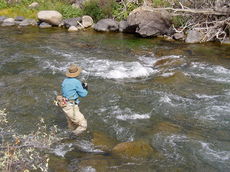 river-fishing-public-domain.jpg