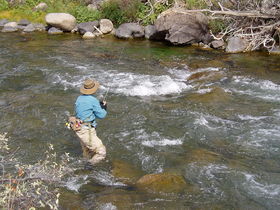 river-fishing.jpg