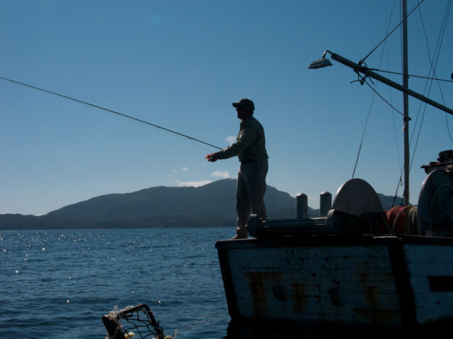 Saltwater Fishing: A Beginner's Guide