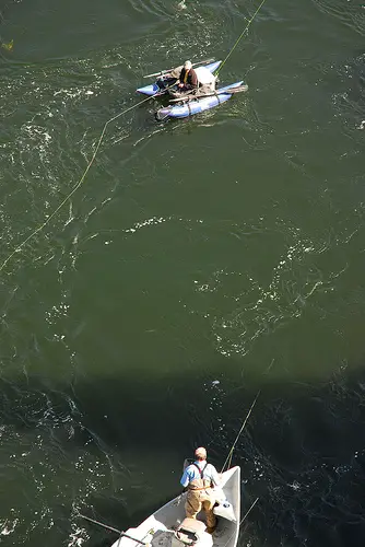 Fly Bin  Big River Fly Fishing